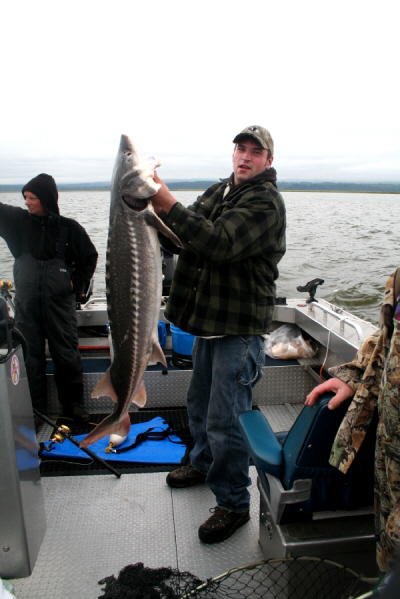 Sturgeon-fishing-gale_force_guides