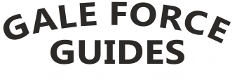 Logo-Gale-force-guides-black-white
